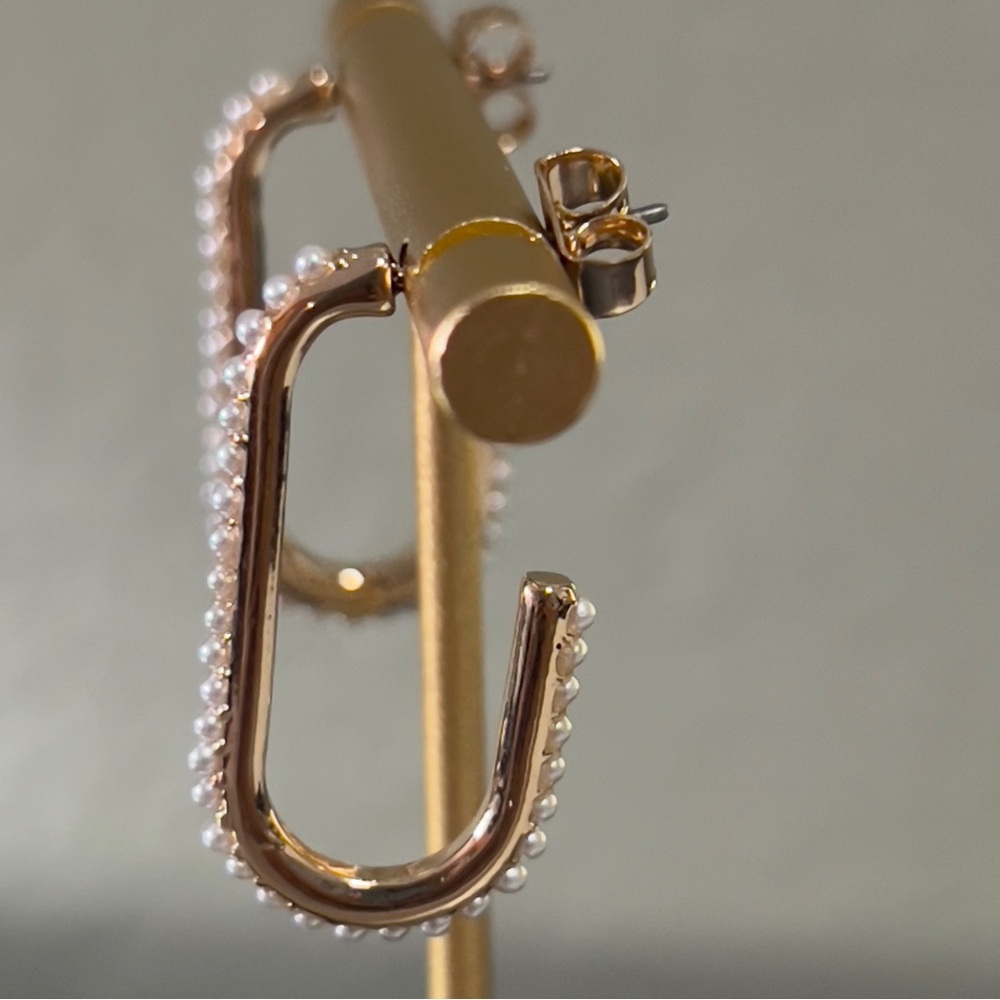 Francesca’s beautiful earrings - Picture 5 of 5